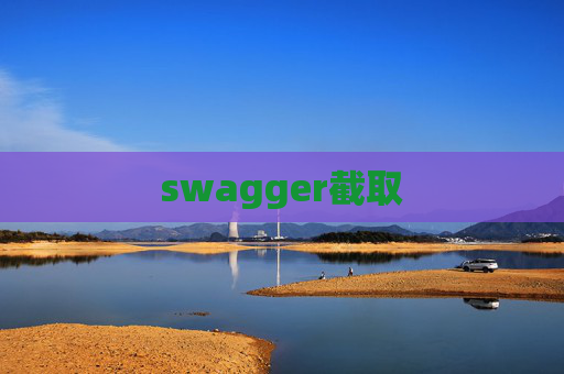 swagger截取